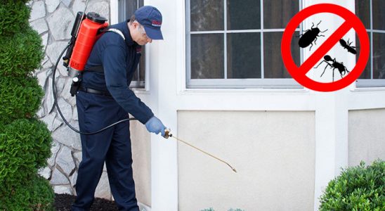 Ağlı Akrep İlaçlama böcek ilaçlama ve haşere kontrolü — ilaclama-tr.com
